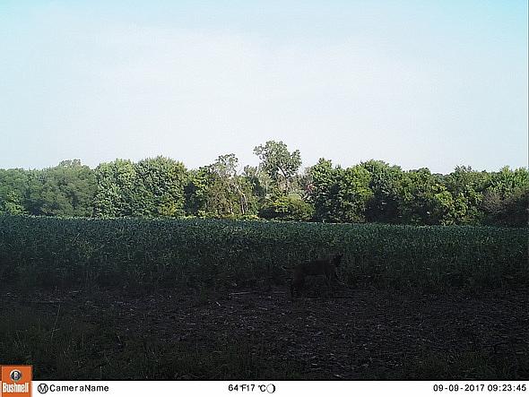 09090040