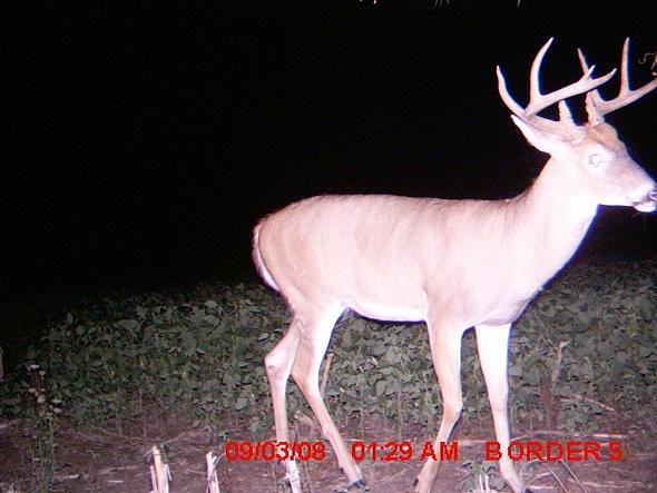 MDGC0042