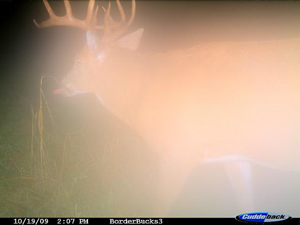 10pt.JPG