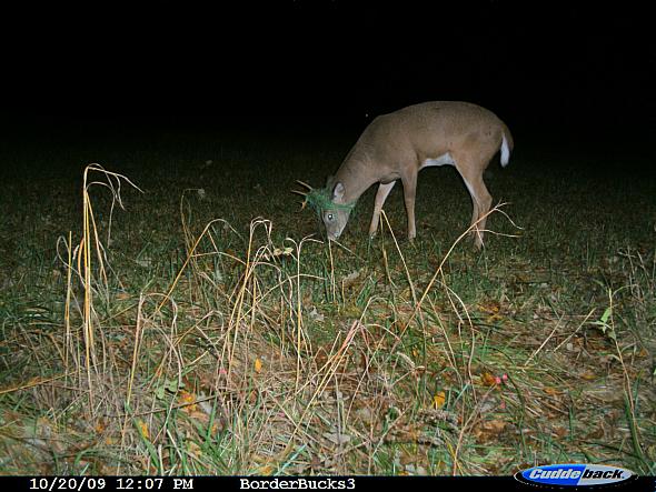 CDY_0068.JPG