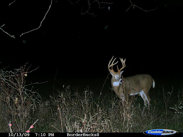 CDY_0080.JPG