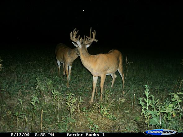 CDY_0303.JPG