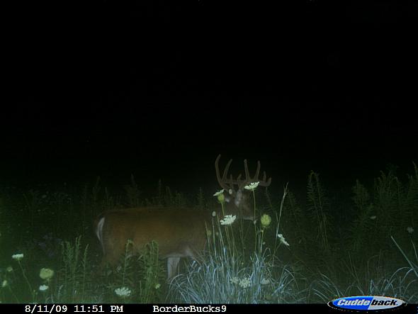 CDY_0394.JPG
