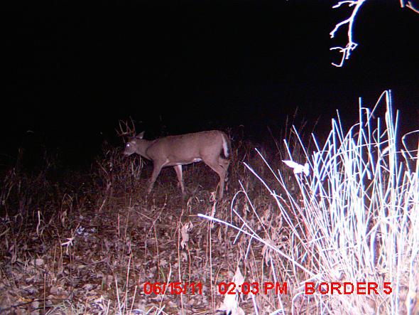 MDGC0095.JPG