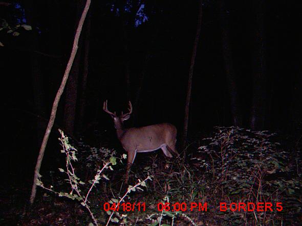 MDGC0221.JPG