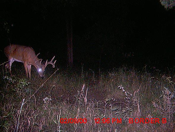 MDGC0361.JPG