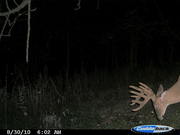 CDY_0173.JPG