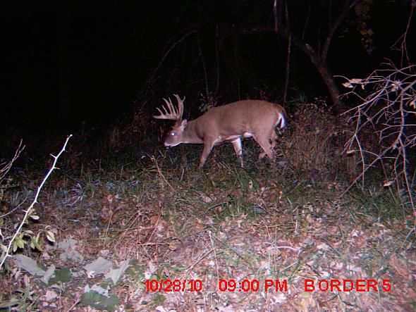 MDGC0009.JPG