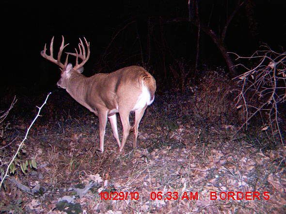 MDGC0021.JPG