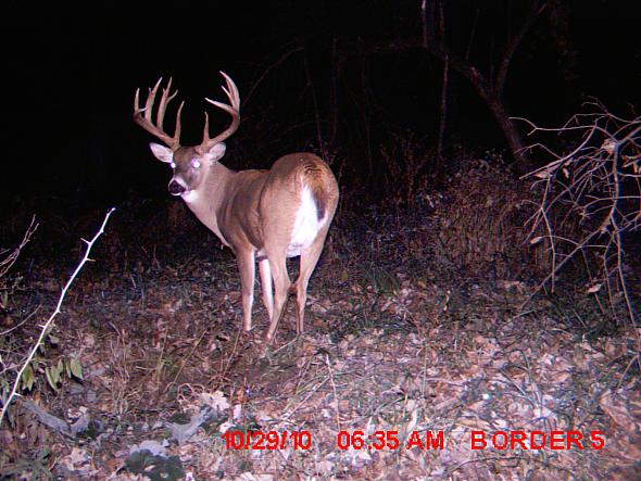 MDGC0023.JPG