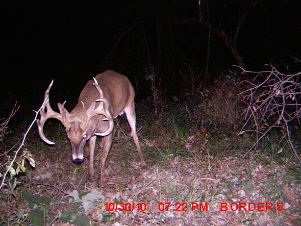 MDGC0044.JPG