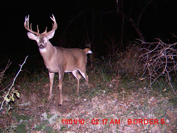 MDGC0058.JPG
