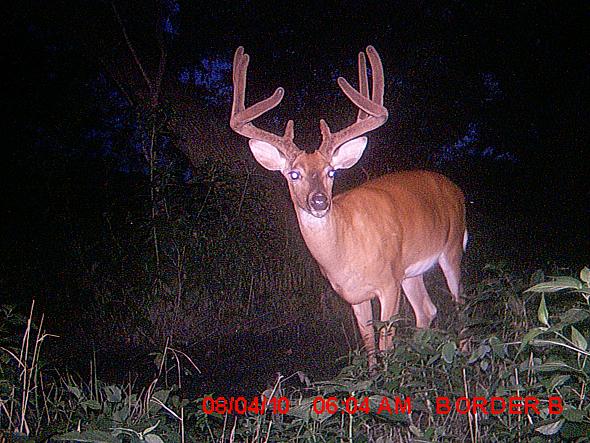 MDGC0159.JPG
