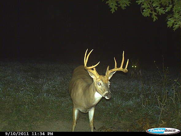 CDY 0210
