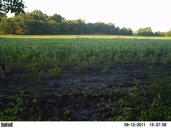 PICT0547