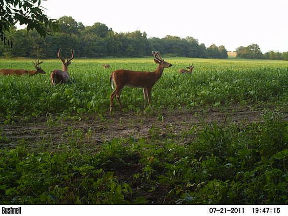 PICT0676