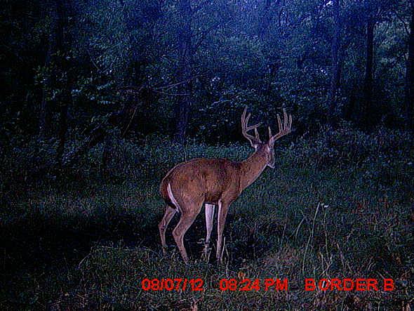 MDGC0065