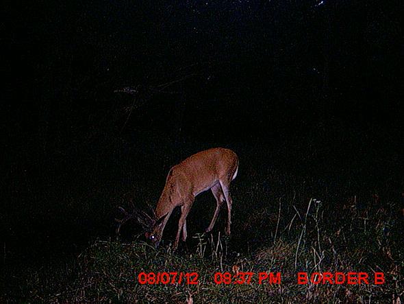 MDGC0070