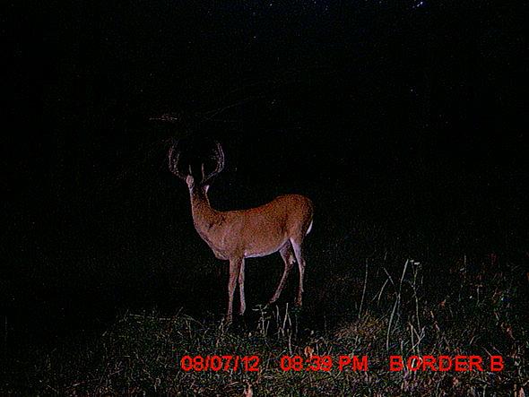MDGC0071