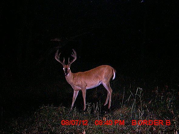 MDGC0074