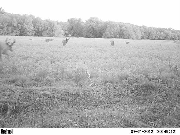 PICT0206-001
