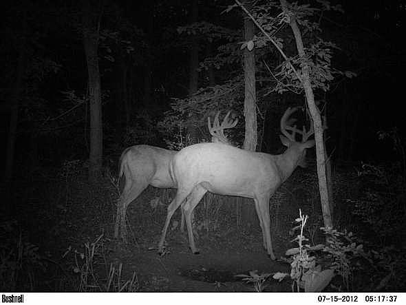 PICT0320