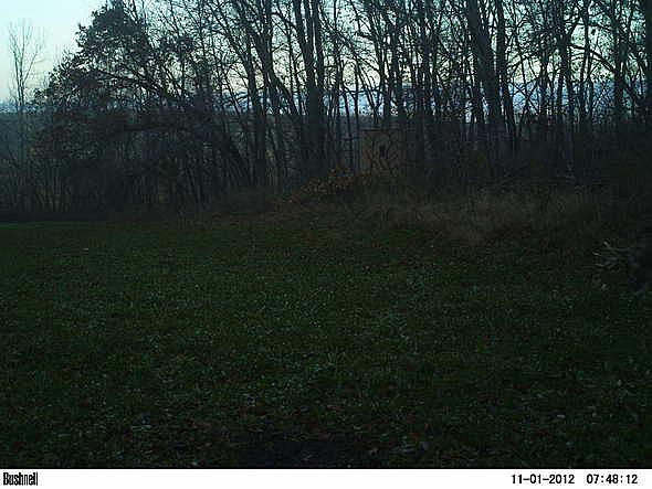 PICT0472