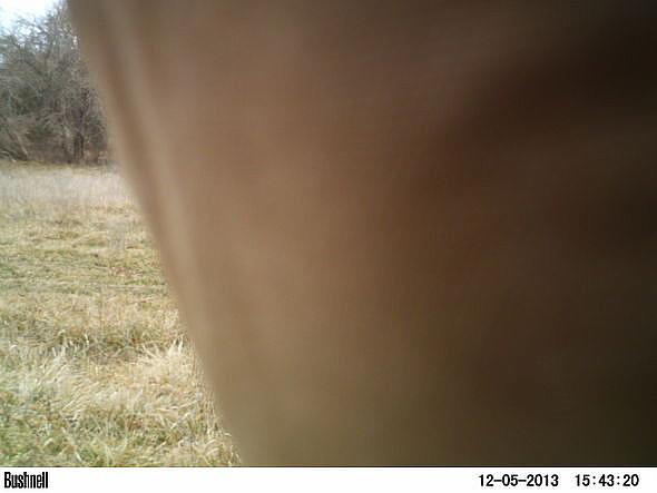 PICT0007