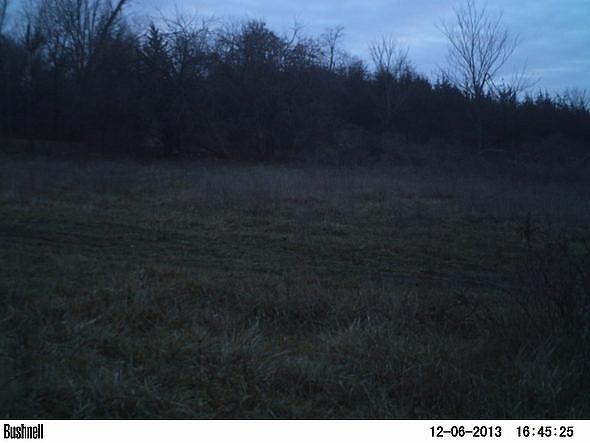 PICT0089-001
