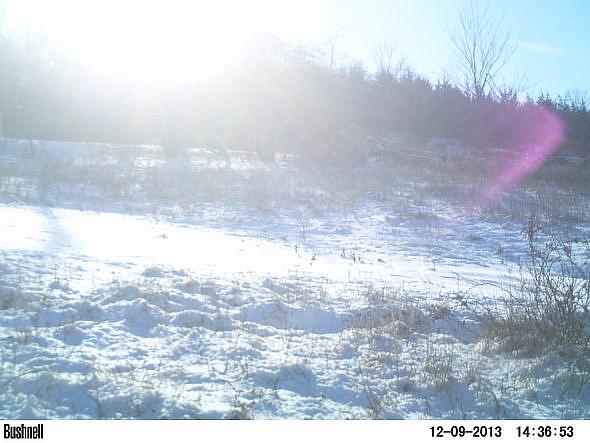 PICT0222-002