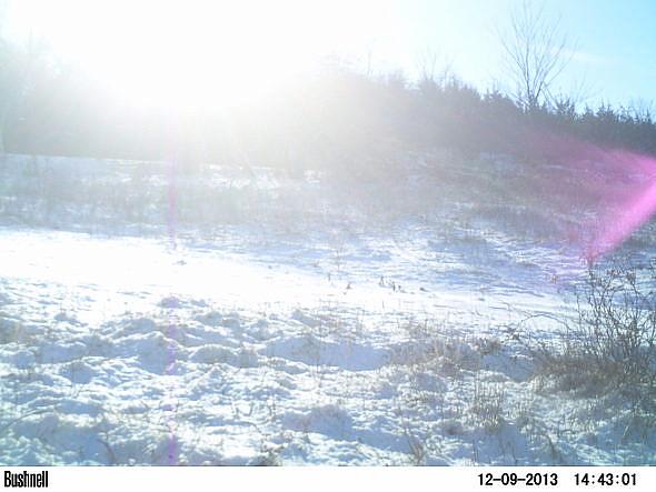 PICT0229
