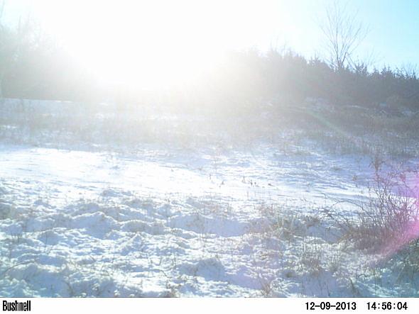 PICT0236