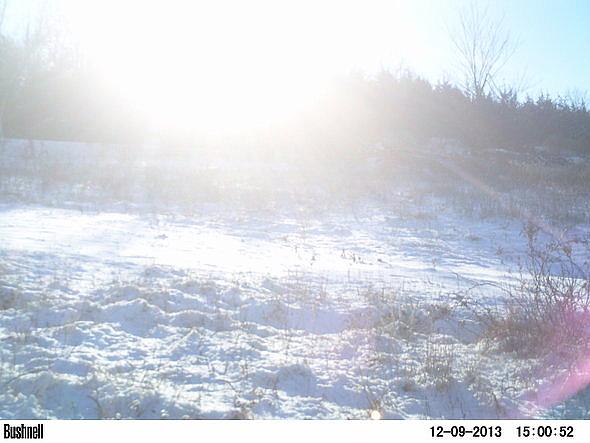 PICT0240