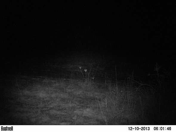 PICT0250