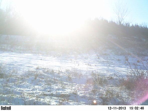 PICT0302-001