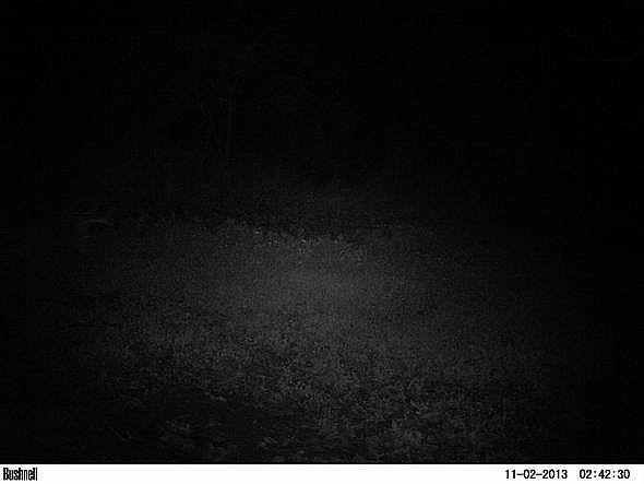 PICT0355