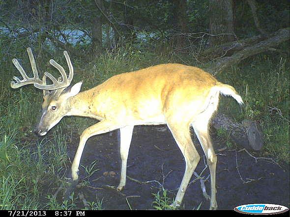 CDY 0201