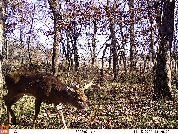 11150686