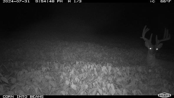 2cafca1d-c307-4a29-b07b-7579520166c2