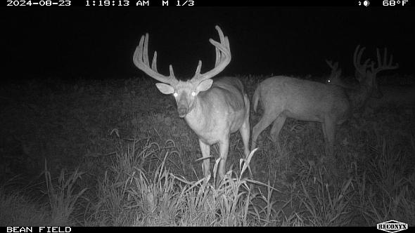 91ad100e-53ad-4dde-8113-99f261df7057