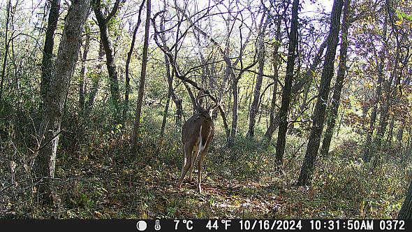 DSCF0372