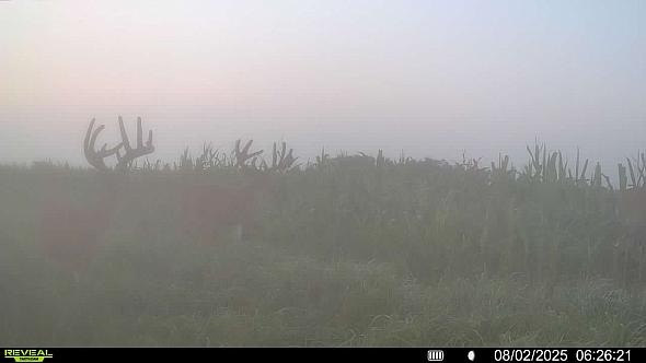 IMG 1296 (1)