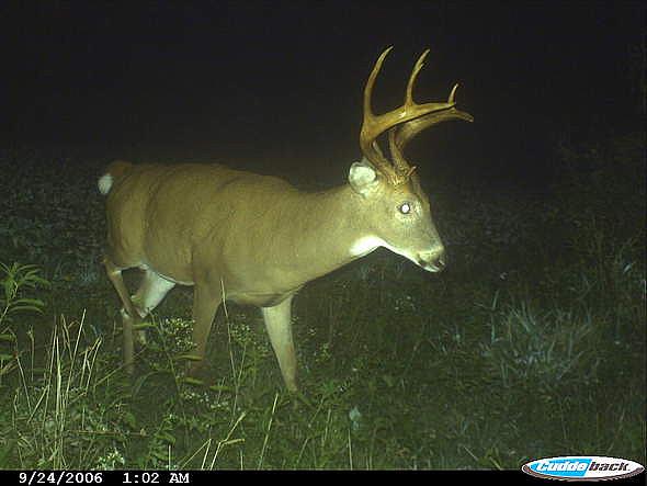 CDY 0121