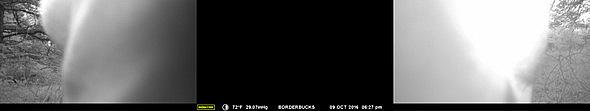 MFDC0004