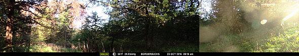 MFDC0422