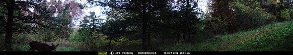 MFDC0469