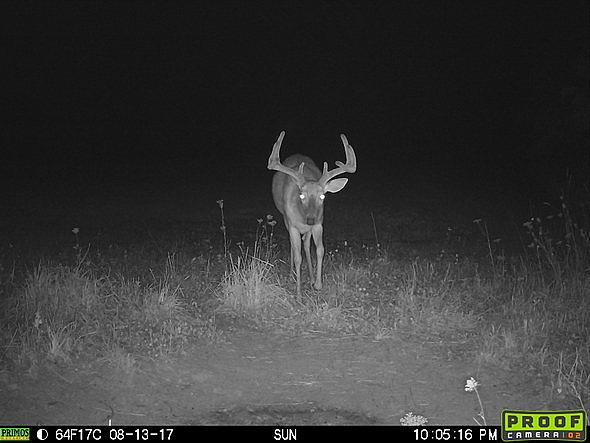08130196