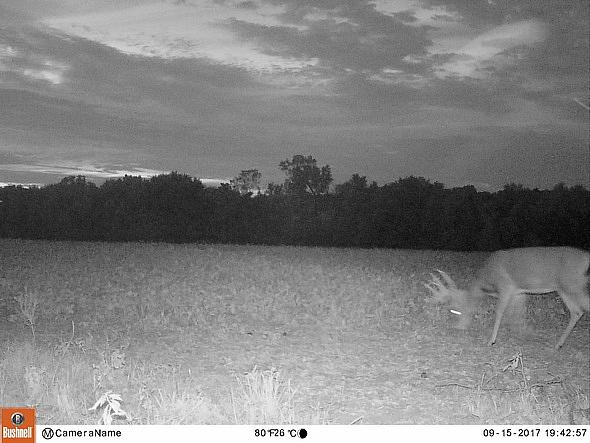 09150096
