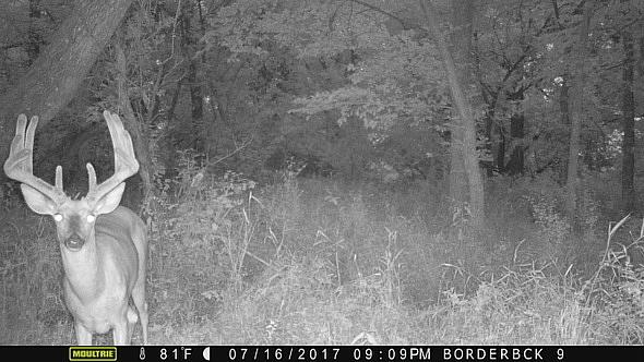 MFDC0435