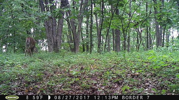 PICT0106